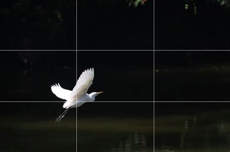 Rule of Thirds in Photography [2023 Guide & Examples] - VIEWBUG.com