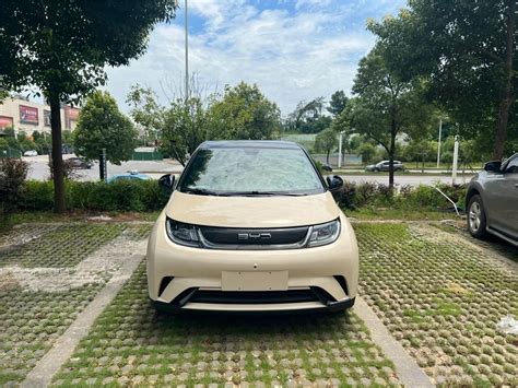 Byd Dolphin Electric Car Light Duty Vehicle 2021 Vitality Edition New E