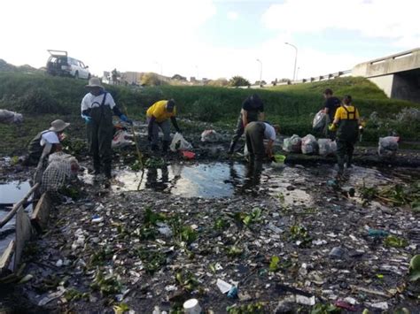 Record number of volunteers at river cleanup