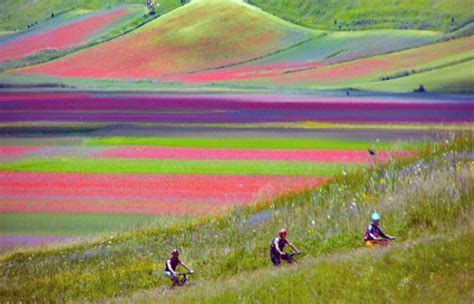 In Bicicletta Tra I Campi Fioriti Fiorita Al Pian Grande D Flickr