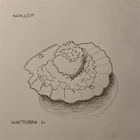 Day 4 Scallop R Inktober