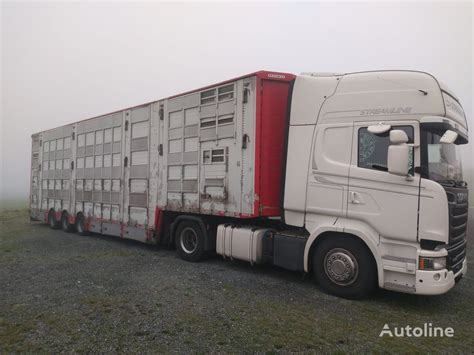 Pezzaioli SBA32 Livestock Semi Trailer For Sale Poland Koszalin QL14843