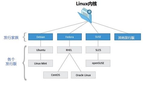 查看发行版distro