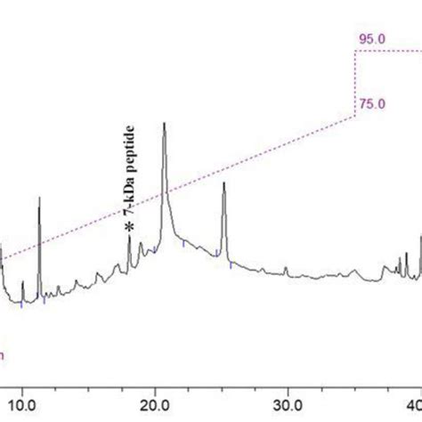 RP HPLC Chromatogram Of Purified Peptide Fraction Containing 7 KDa