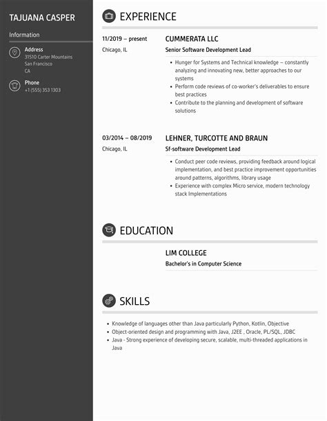 Software Development Lead Resume Samples Velvet Jobs