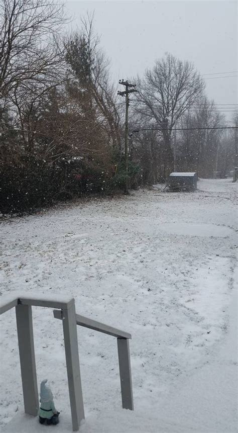 Metro St Louis Blanketed By Snow