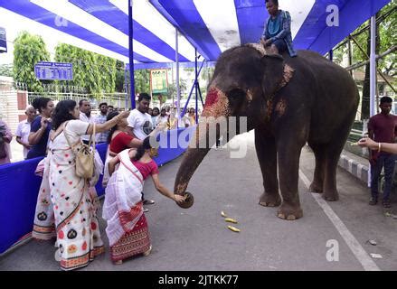 Guwahati Guwahati India St De Ago De Los Devotos Hind Es De