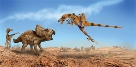 A Pack Of Velociraptors Try A Sudden Attack On A Protoceratops Herd