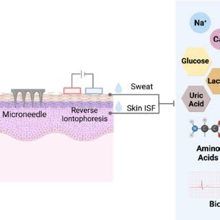 Schematic Illustration Of Devices For Transdermal Biosensing