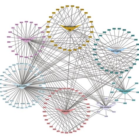 A In The Drug Component Target Disease Network The Pink Circles