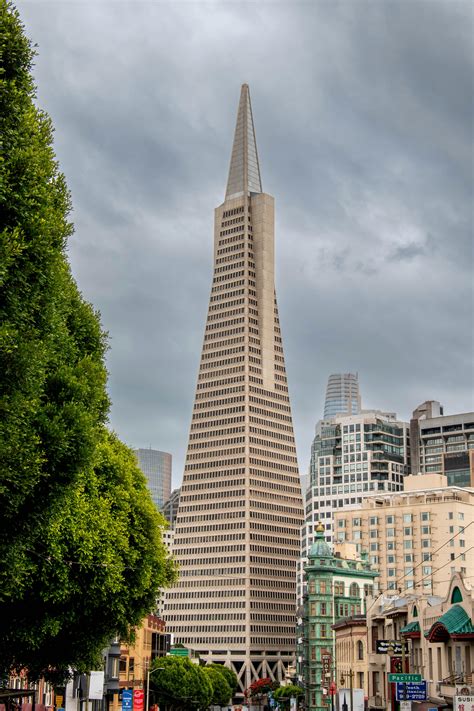 Aerial View of Buildings and Towers · Free Stock Photo