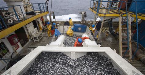 Produce Autoriza El Inicio De La Segunda Temporada De Pesca De