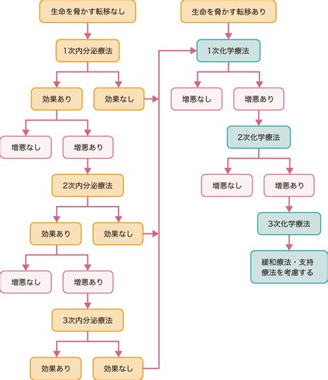 再発・転移乳がん治療の全体像｜再発・転移乳がんの治療｜おしえて 乳がんのコト【中外製薬】