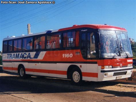 A Todo Bus Chile La Biblioteca Busóloga de Chile