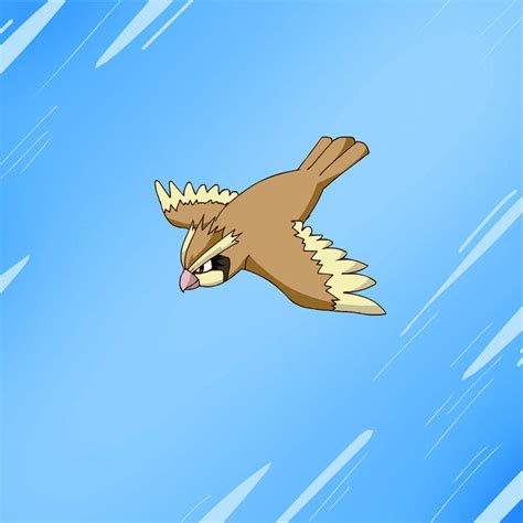 Pidgey Evolution Animation by Jedd-i on DeviantArt