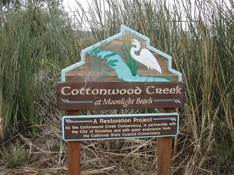 Cottonwood_Creek - Southern California Wetlands Recovery Project