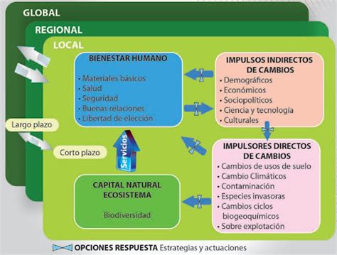 Evaluaci N De Los Ecosistemas Del Milenio De Espa A Ecologistas En Acci N