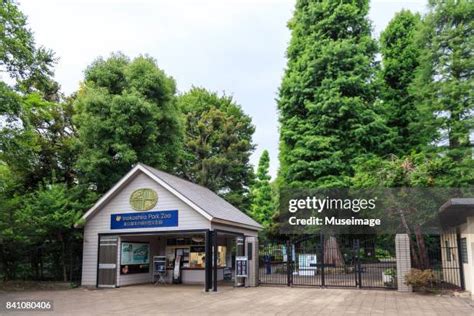 Inokashira Park Zoo Photos and Premium High Res Pictures - Getty Images