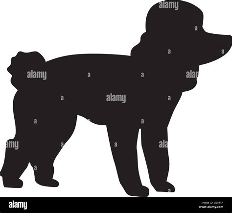 Logotipo de silueta de perro caniche Imágenes vectoriales de stock Alamy