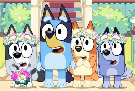 Rule 34 After Sex Bandit Bluey Bluey Bluey Bluey Series Bluey CLOOBX