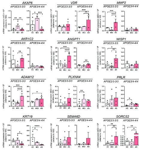 The Influence Of Apoe Genotype Of 12 Leading Degs Relative Expression