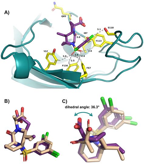 Structurebased Design Of Ultrapotent Tricyclic Ligands For Fk