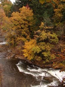 Ithaca Trails - Fall Creek Gorge Natural Area