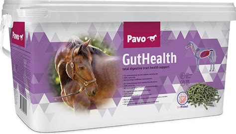 Pavo Guthealth Kg Equusvitalis Onlineshop