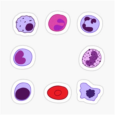 Blood Cells Sticker For Sale By Starrypanda Redbubble