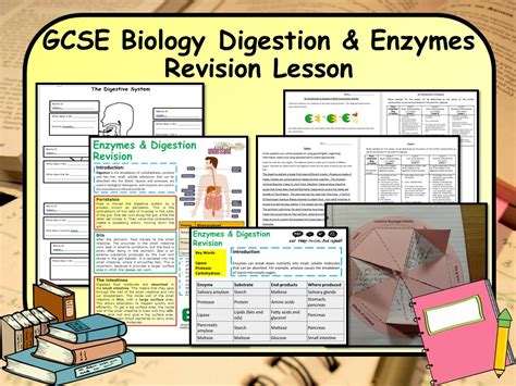 Ks Gcse Biology Science Enzymes Digestion Revision Lesson