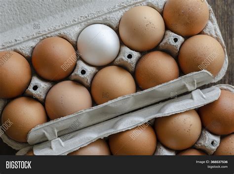 Brown Chicken Eggs Image And Photo Free Trial Bigstock