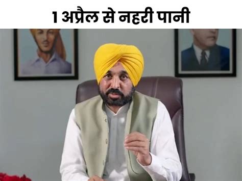 Punjab Governments Emphasis On Diversity Of Crops पंजाब सरकार का