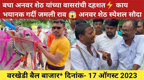 बघा अनवर शेठ यांच्या वासरांची दहशत⚡अनवर शेठ स्पेशल 🔴live सौदा 17