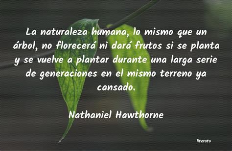 Frases Planta Un Rbol Literato