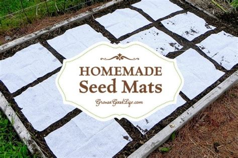 Homemade Seed Mats or Seed Tapes