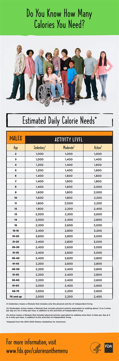 How Many Calories Do You Need Daily? - Best Infographics