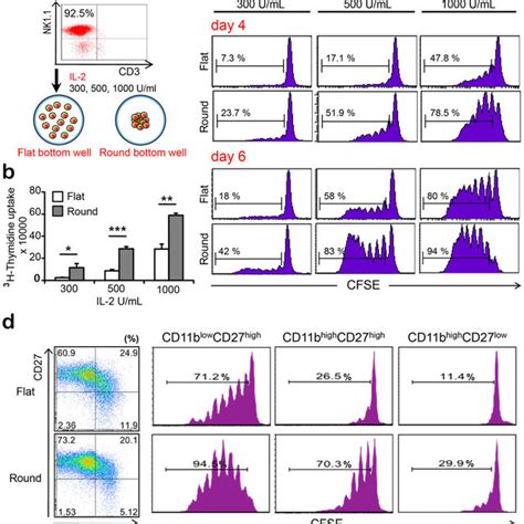 Local density of NK cells is important for NK cell proliferation in ...