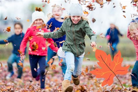 Que Faire En Automne Id Es D Activit S Pour Cet Automne