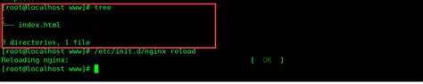 Nginx Location Root Alias