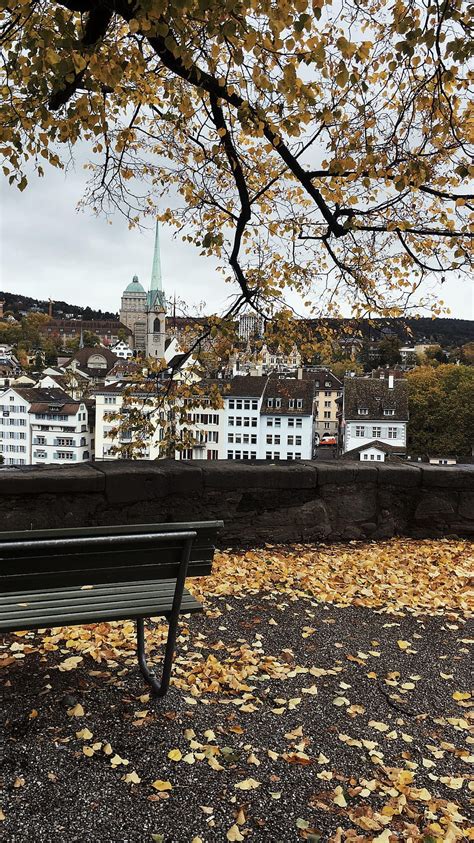 Zurich Switzerland Autumn Switzerland Hd Phone Wallpaper Pxfuel