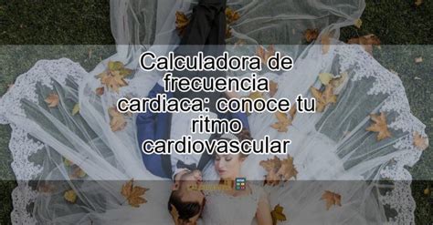 Calculadora De Frecuencia Cardiaca Conoce Tu Ritmo Cardiovascular Actualizado Diciembre 2023