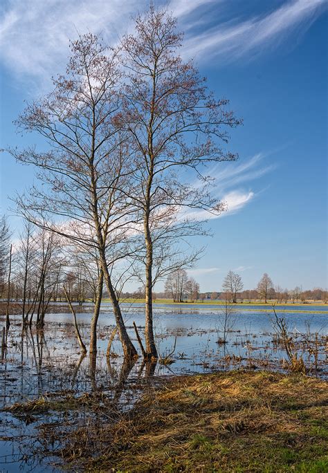 On The Backwaters Of The Bug River Voigtlander Color Skopa Flickr