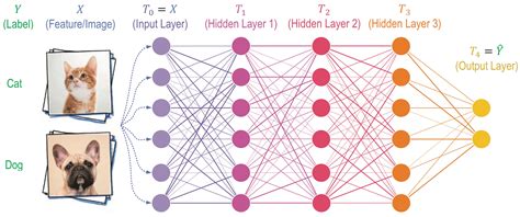 Deep Convolutional Neural Networks Part 1 Deep Learning Images