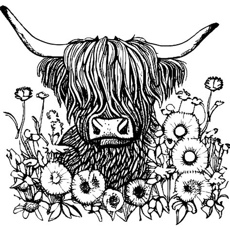 Highland Cow In A Field Of Flowers Coloring Page Creative Fabrica