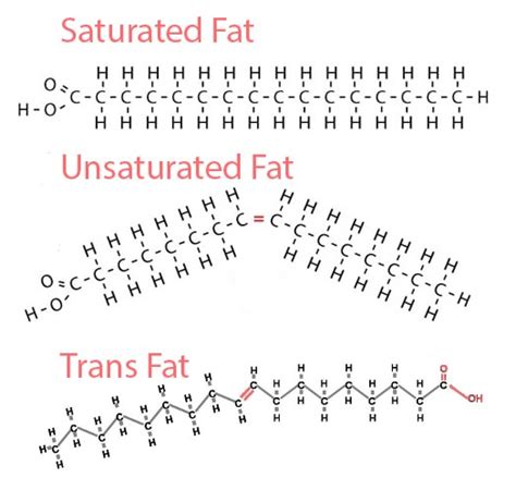 New York City S Trans Fat Ban Really Did Keep People Out Of The Hospital