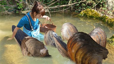 Treasure River A Girl Accidentally Breaks Open A Huge Clam And