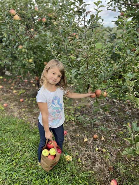 The Top Ten Spots To Go Apple Picking Near Cincinnati