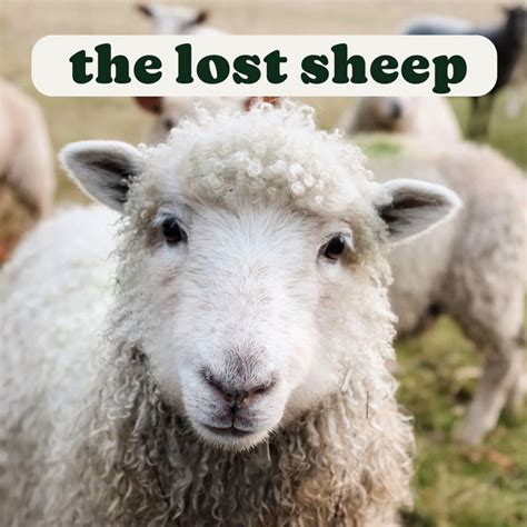 The Lost Sheep Podcast On Spotify