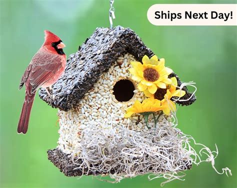 Edible Bird Home Birdseed Birdhouse Bird Seed House Handmade Bird Feeder Hanging Outdoor