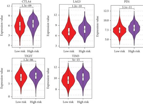 Immune Status Of BC Samples In Two Subgroups A The Relative